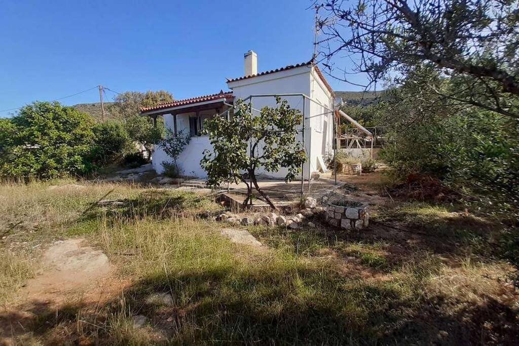 Elafonisos Detached House In Quiet Olive Grove, Starlink Internet & Smart Projector! Villa Exterior foto