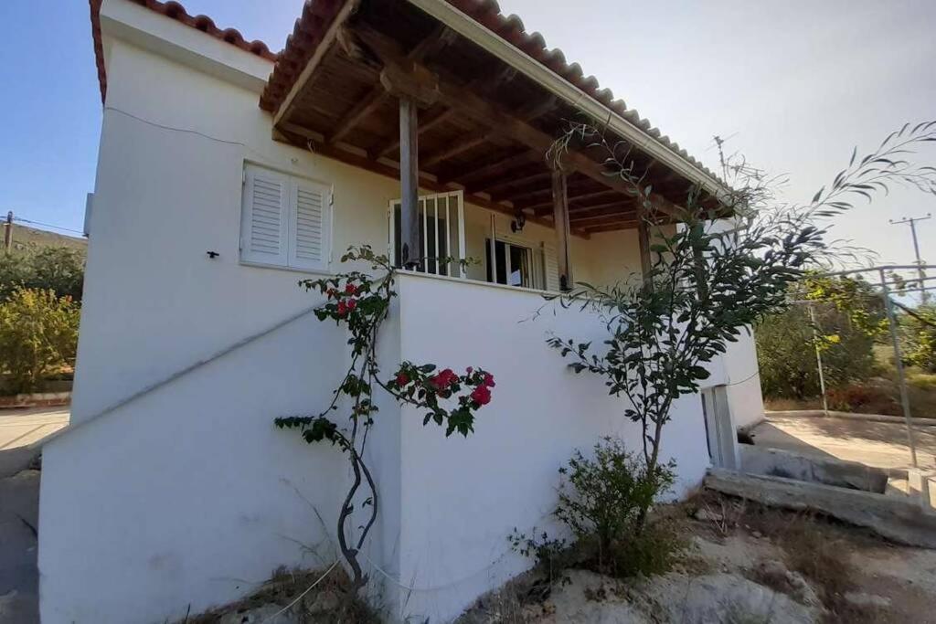 Elafonisos Detached House In Quiet Olive Grove, Starlink Internet & Smart Projector! Villa Exterior foto